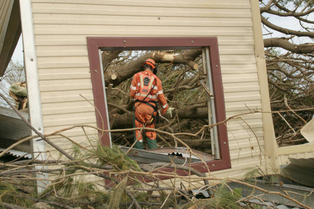 Best Tree Mulching  in Mcconnellsburg, PA